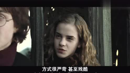 哈利波特4在线观看,火焰杯在线观影指南  第1张